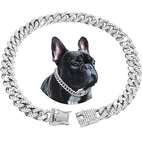 Pet Cuban chain