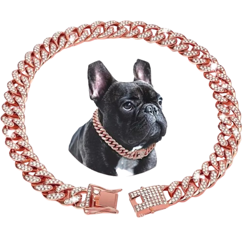Pet Cuban chain